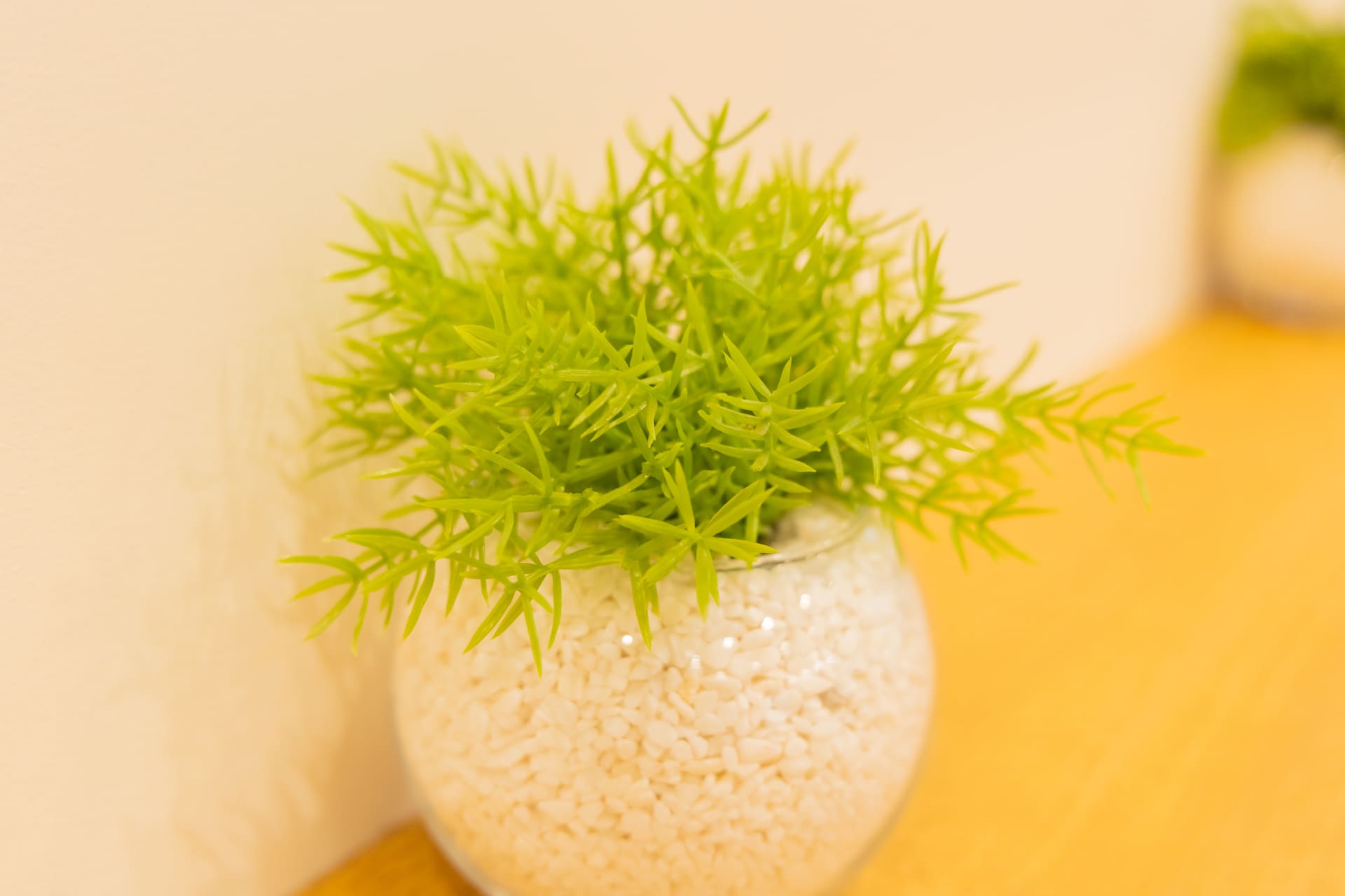 更新情報ページのヘッダー画像